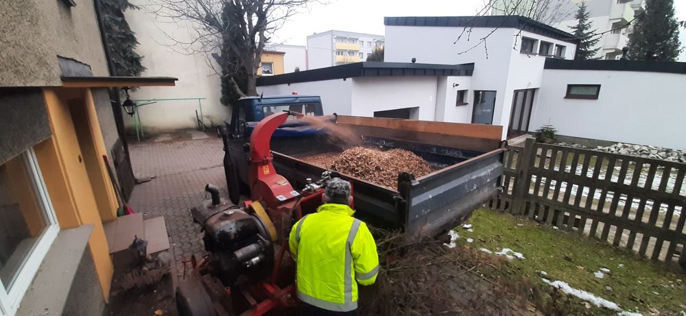 Wycinka drzew,Usuwanie wiatrołomów,Mielenie gałęzi, wycinka tui