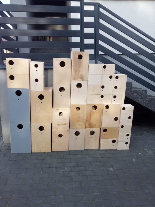 Budki lęgowe dla papug i dzikich ptaków