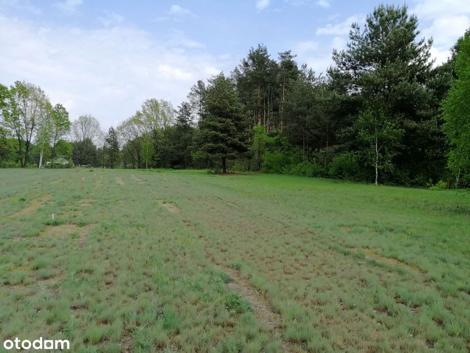 Przepiękna działka budowlana 1901m² Osowiec - Więcej