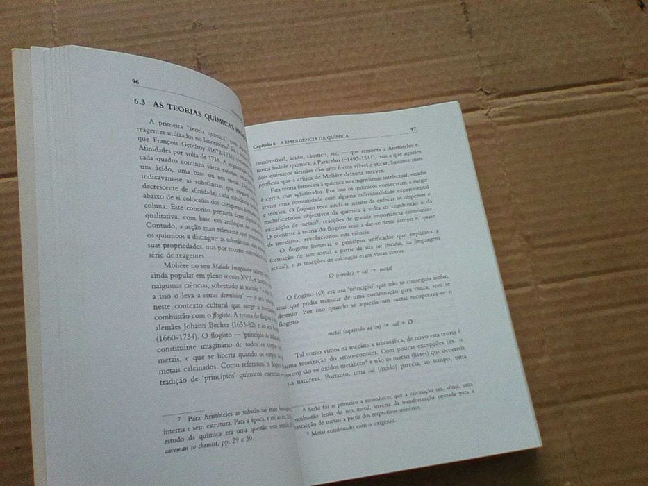 O Brotar da Criação