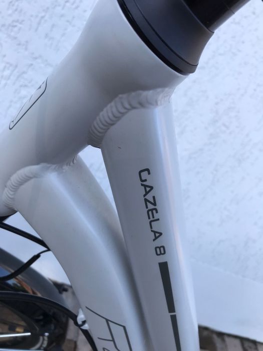 Romet Gazela 8 damski i Wagant 8 męski trekkking