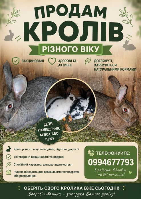 Кролі різного віку
