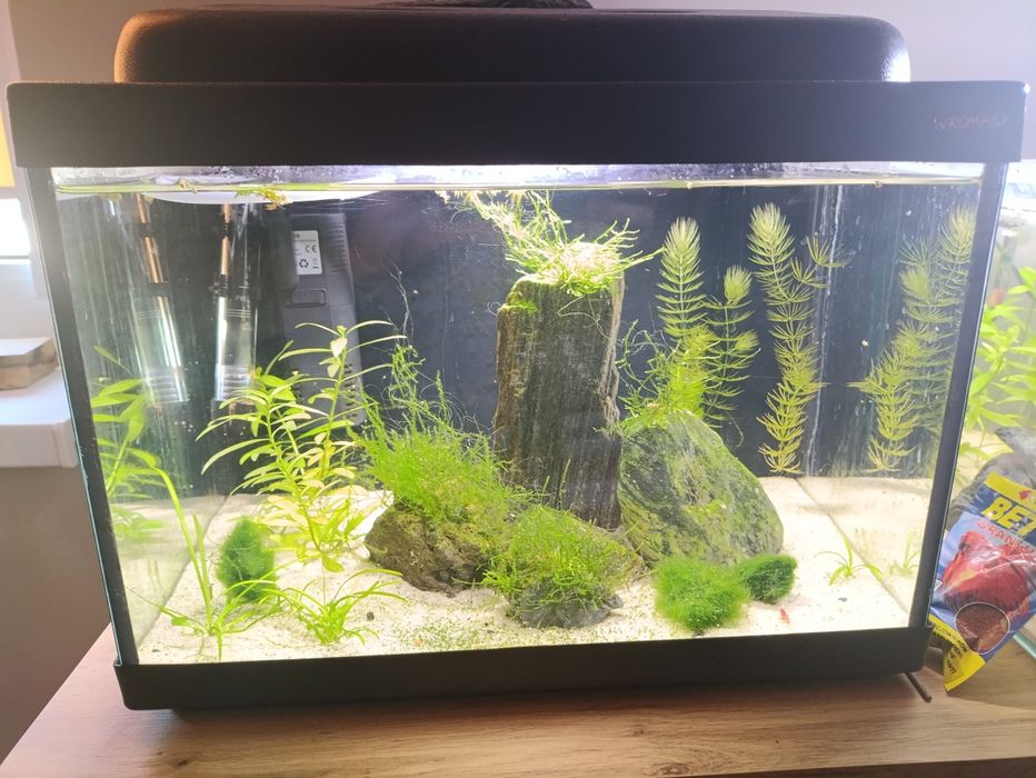 Akwarium gotowe z życiem 35l
