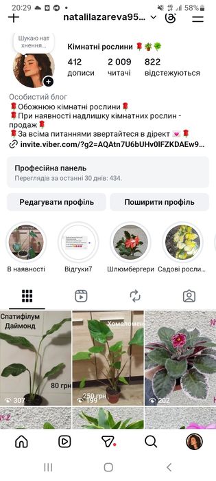 Спатифілум, стреліція, калатея, драцена, монстеоа, хомаломена