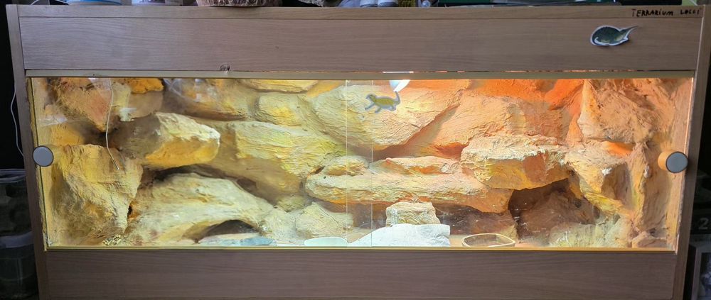 Terrarium ze scianką