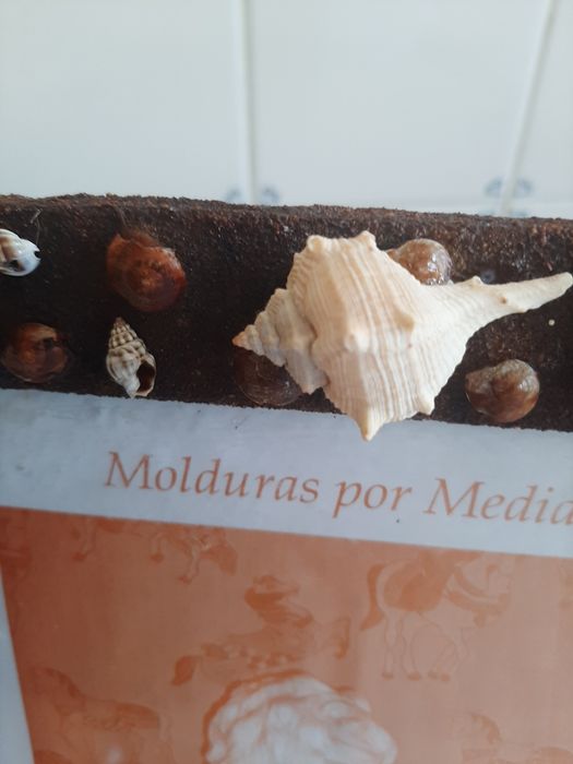 New Handcrafted Seashell Frame425562447451279364