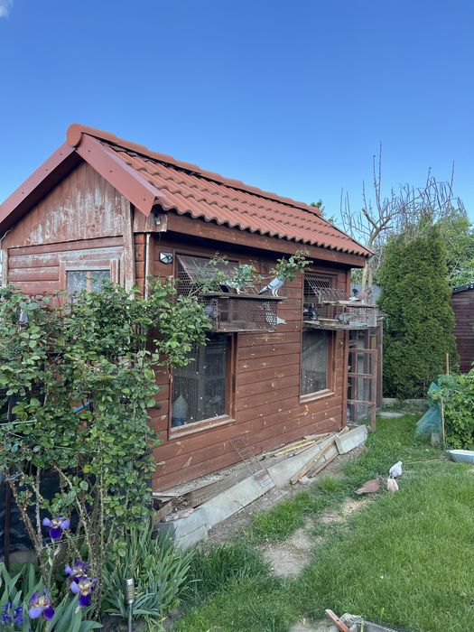 Sprzedam golebnik dziadka