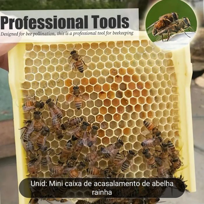 Mini Núcleo de Fecundação de Abelhas Rainhas - Novo