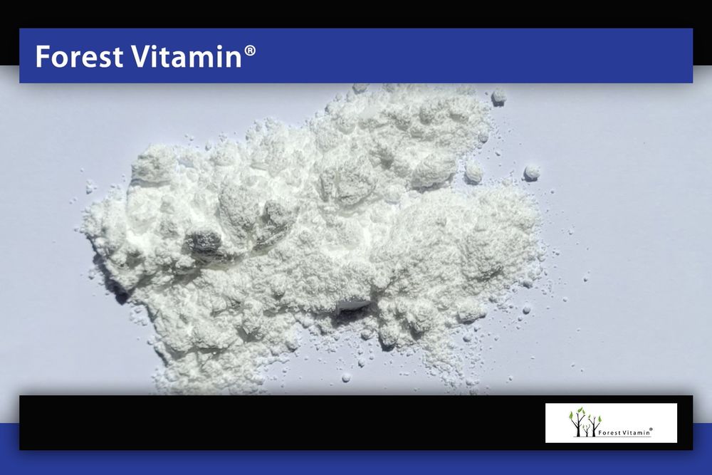 Kofeina w proszku 100% 1 Kg czysta