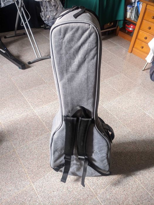 Bolsa para Violão Ritter Carouge Dreadnought EGR