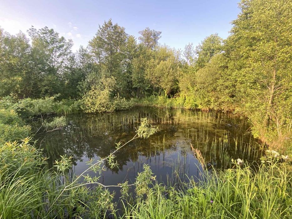 Будинок село Буща.