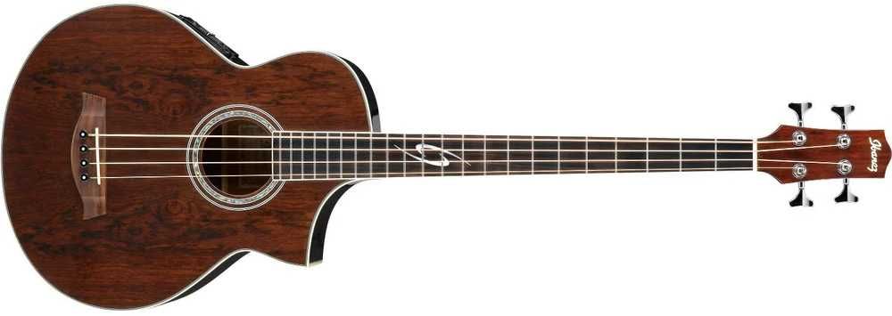 Ibanez baixo acustico EWB20WNE