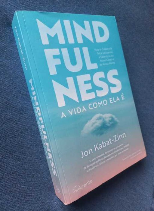 Mindfulness; A vida como ela é - Jon Kabat-Zinn