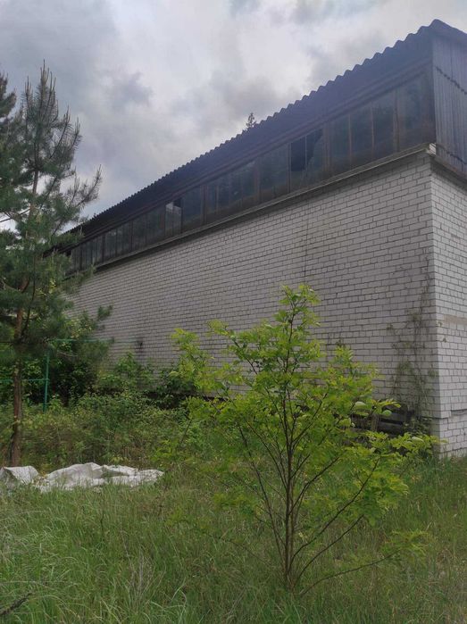 Продаж виробничо-складських приміщень с.Мліїв