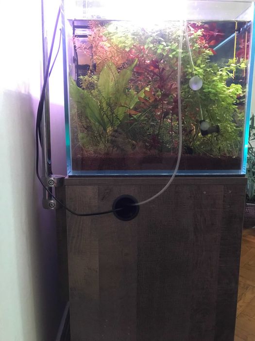 Аквариум д120/ш45/в40 стекло 10мм Диамант(Оптивайт).