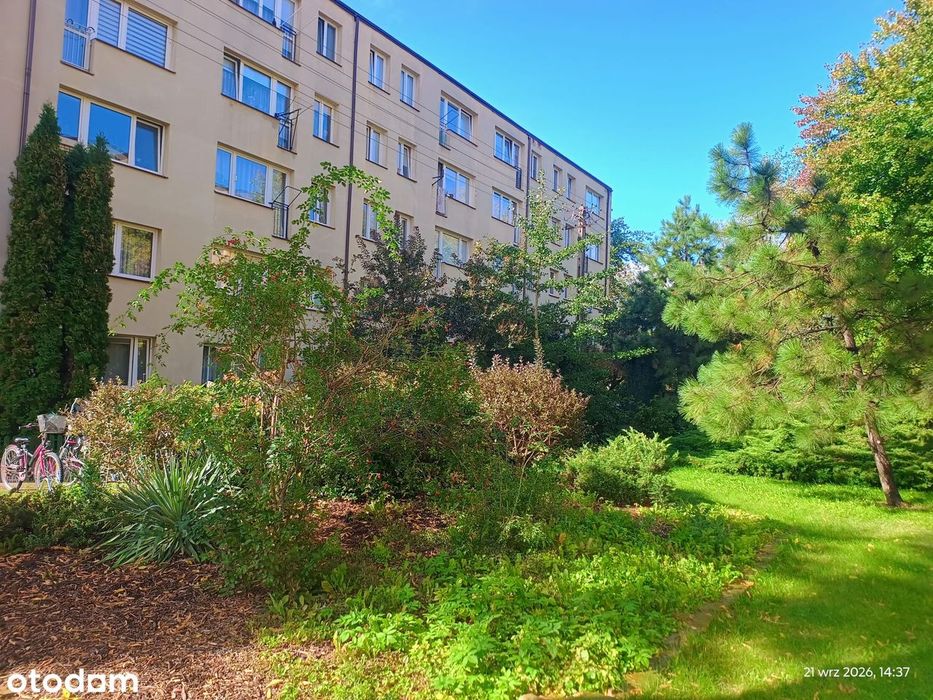 Przytulne M4 w zielonym Brwinowie, bez prowizji od Kupującego