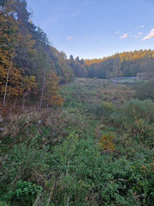 Dzałka, Siedlisko, Żwirownia, Siedlisko, Gospodarstwo,  Stadnina