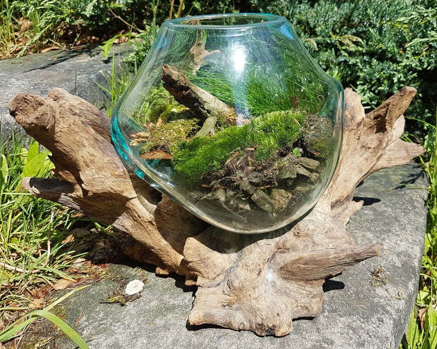 Wazon odlany na korzeniu z drewna Teak XL Dekoracja na Las w Szkle