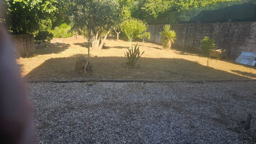 Limpezas de terrenos