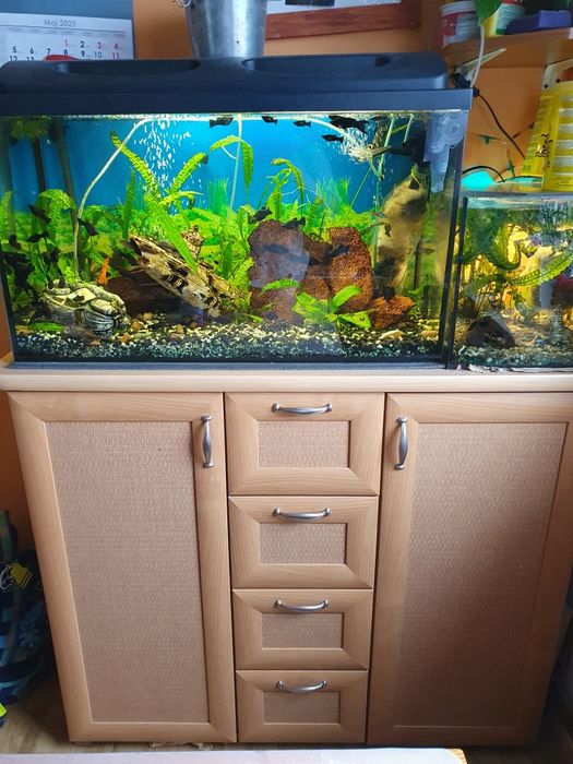 Akwarium 120 l z rybkami i calym osprzetem