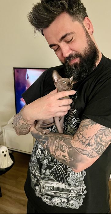 Dostępny w hodowli kociaki. Biały Czarny na Już ‼️ Wwa Sfinks • Sphynx