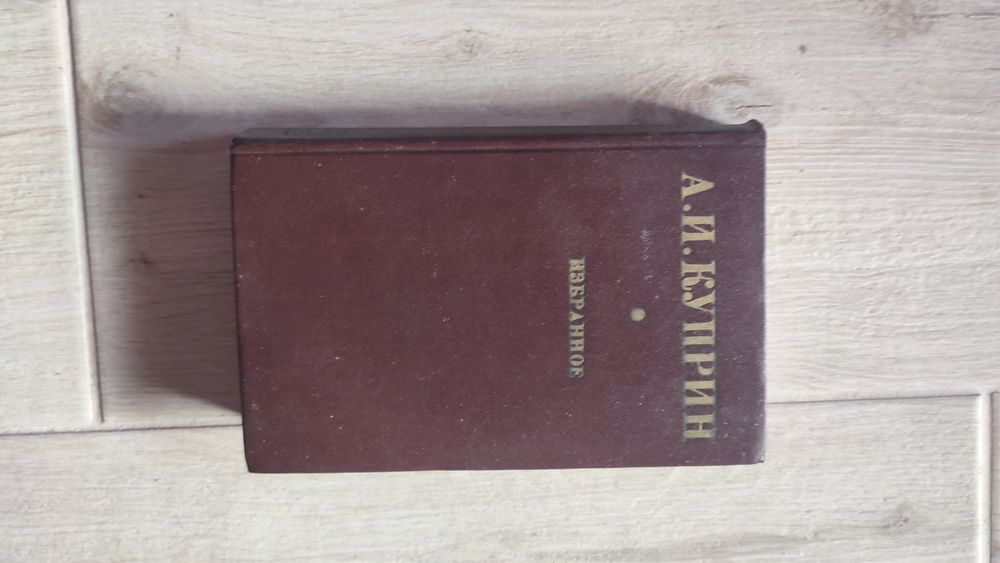 А.И. Куприн. Гранатовый браслет, Яма