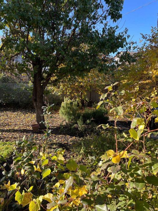 Будинок за адресою вул. Танкістів (площа 132 м²) - Atlanta.ua - фото 5