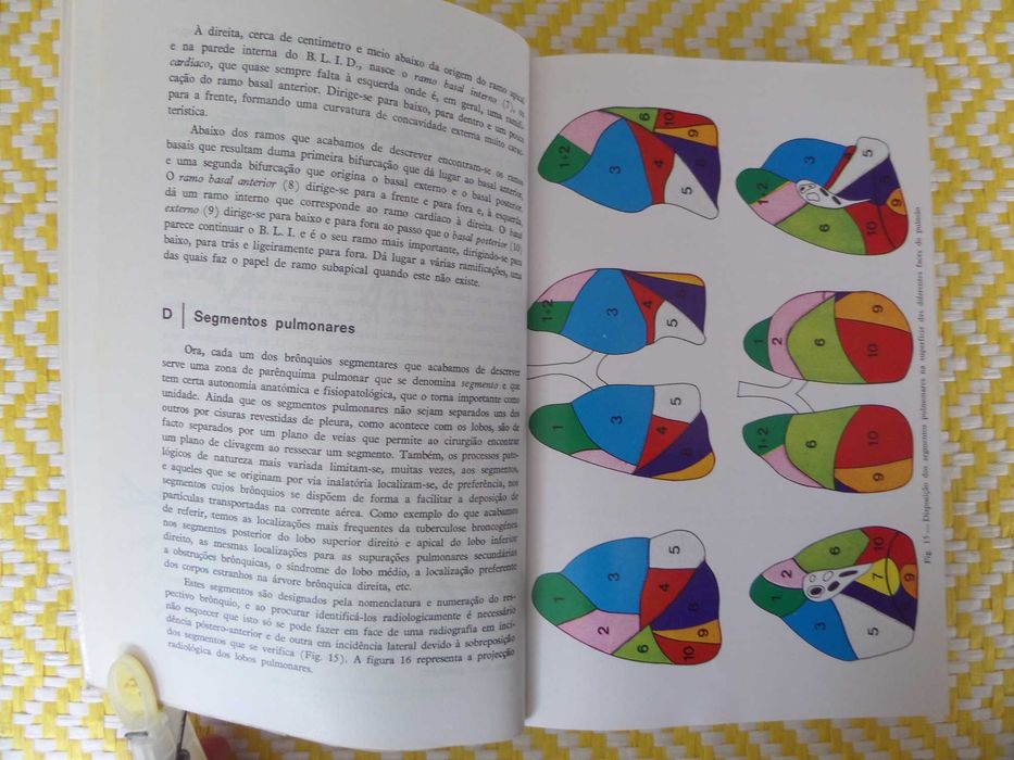 Propedêutica Médica
II Vol . Pneumologia