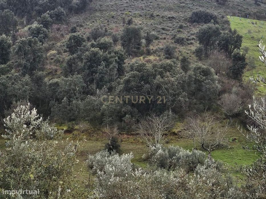 Terreno Rústico em Vila Nova de Foz Côa