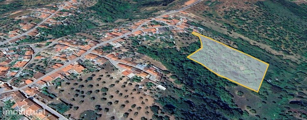 Terreno de 8280m² com cultura Arvense variada em Abrantes