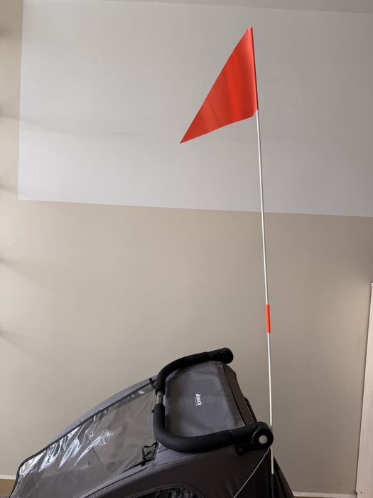 Przyczepka rowerowa dla dzieci Hauck Dryk Duo wózek