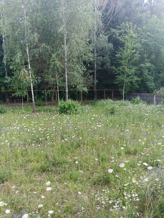 Продам будинок в Глубочиці, який будувався для себе