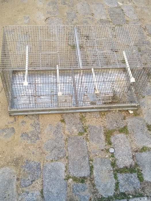 Gaiolas criação de pássaros