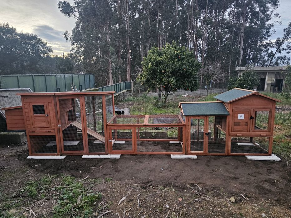 Galinheiro como Novo