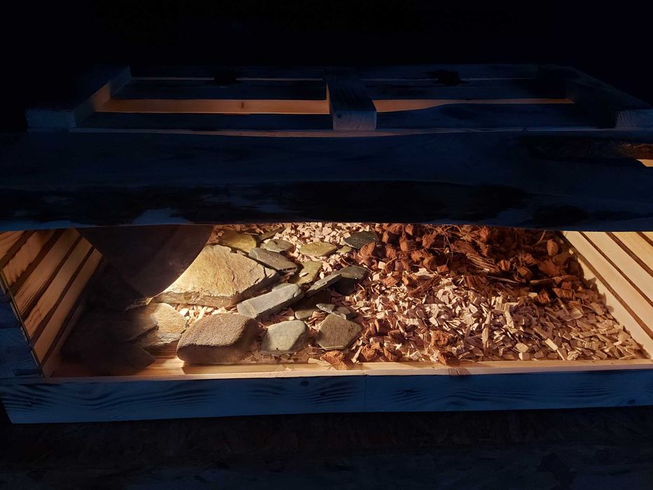 Terrarium pustynne dla żółwia,jeża,gryzonia