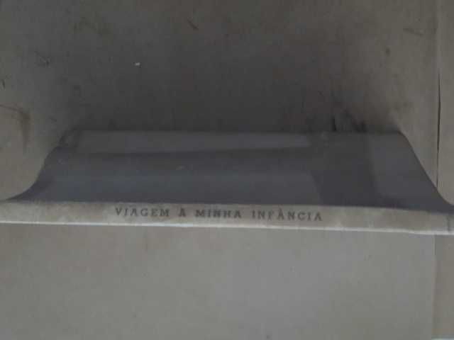 Viagem à Minha Infância de Silva Tavares