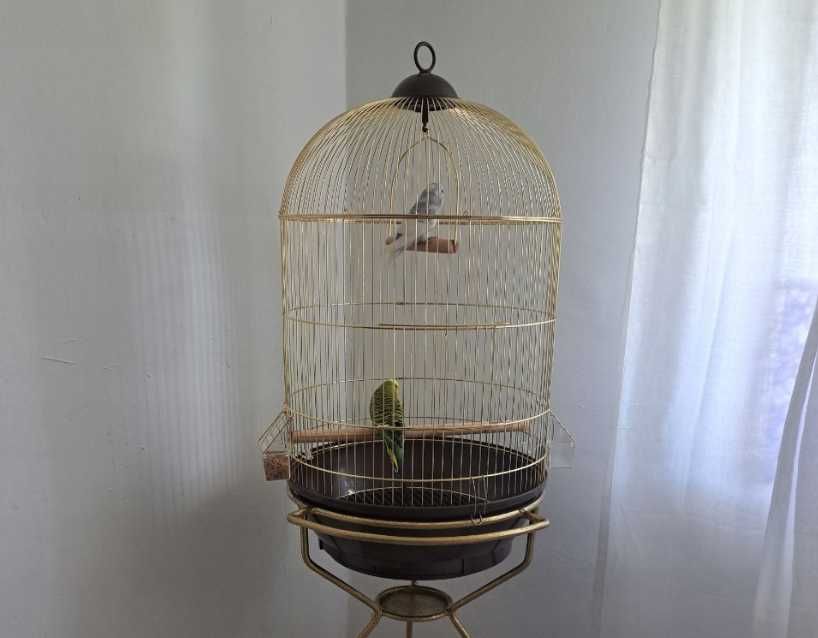 ZŁOTA klatka dla ptaków NOWA 40x40x70 drążek huśtawka poidełko