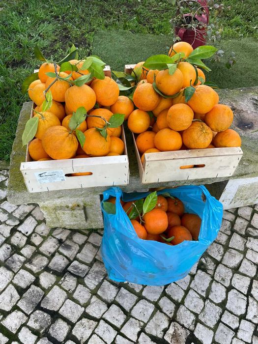 Laranjas Biológicas
