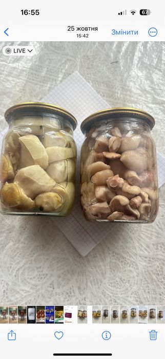 Гриби мариновані опеньки польсий білий синяк