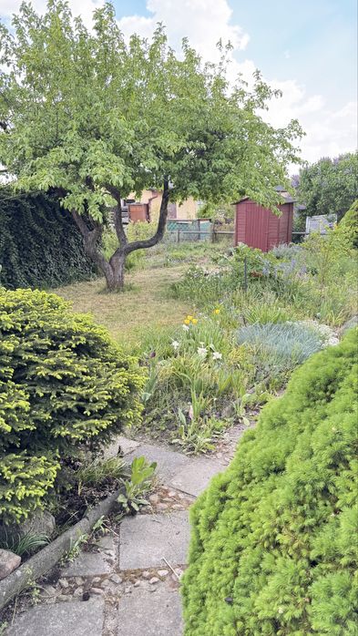 Prawa do dzialki ROD 400 m2 Koninko