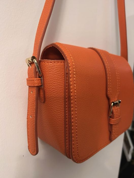 Carteria laranja stradivarius