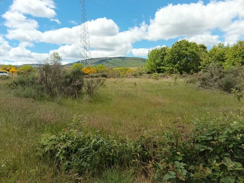 Terreno à venda em Paçó de Mós