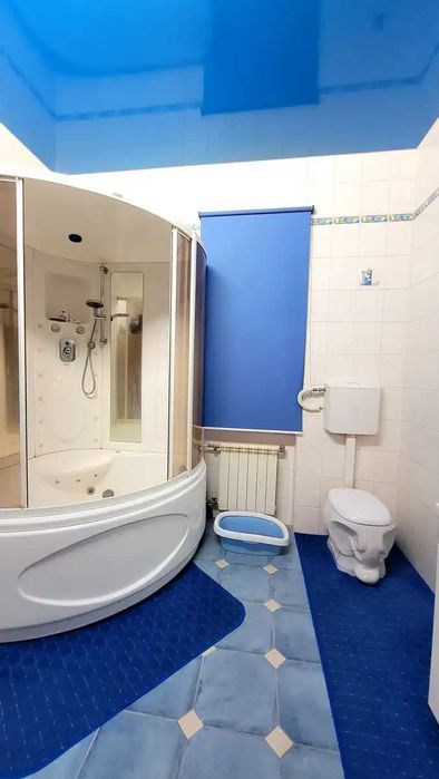 Продається будинок 397м2, 12сот. газ в с. Старі Петрівці, СТ "Дніпро"