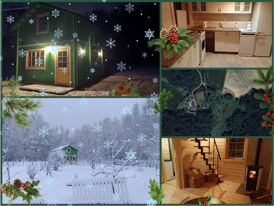 Zielony Dom do wynajęcia