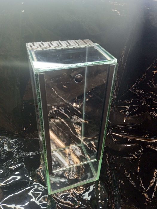 Terrarium 10x10x25h
