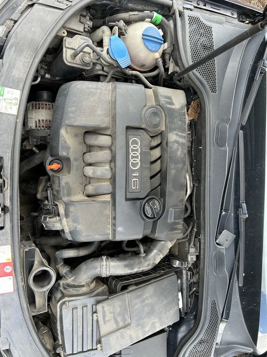 Audi A3 8P 2004 rok części wszystkie części potrzebujesz coś dzwoń lakier LZ5J