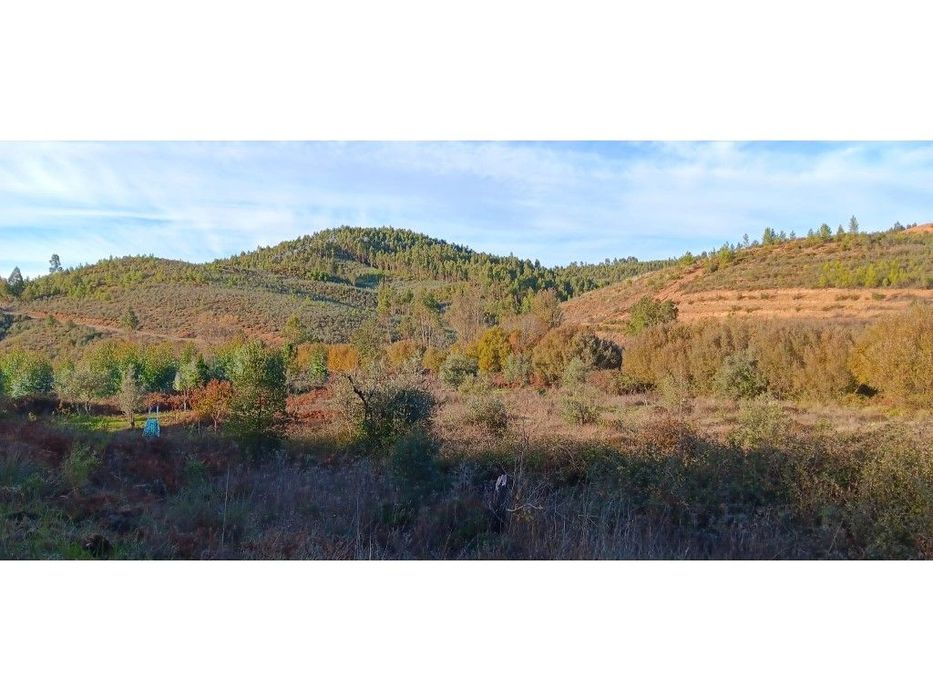 Arrendamento de Terreno Rústico - 24.680 m² , Freguesia de Envendos...