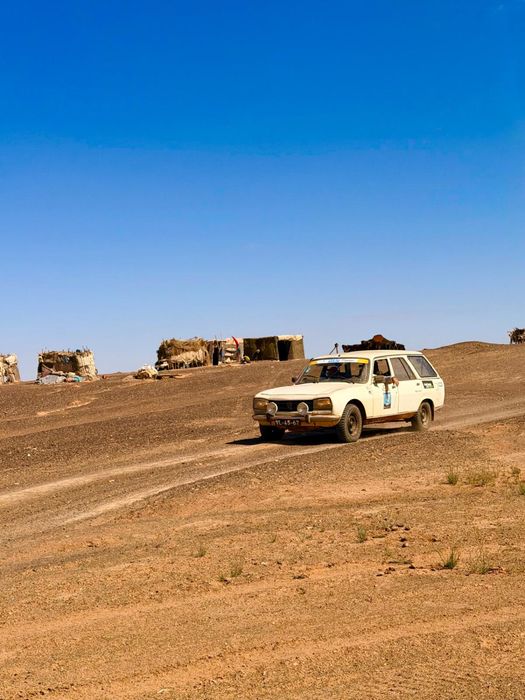 Peugeot 504, a suprema rainha do deserto!