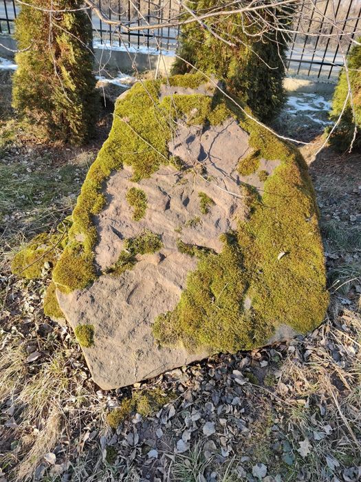 Kamień ,piaskowiec czerwony, głaz polny