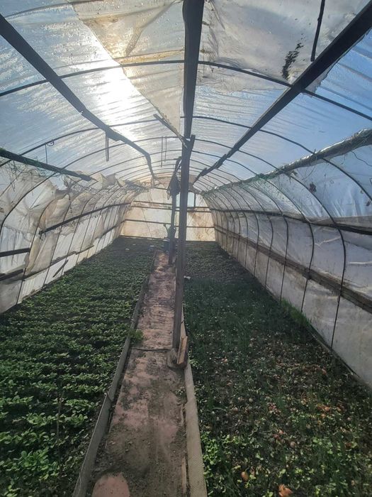 Продам будинок з земельною ділянкою с. Ображіївка